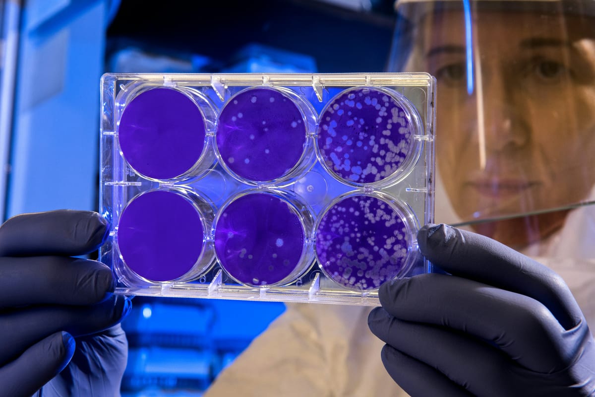 Electric Mud and Memory Medicine: Two Quiet Miracles You’ll Want to Know About