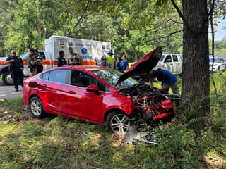 Collision with tree injures driver