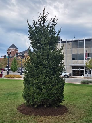 Its beginning to look a "Lot" like Christmas