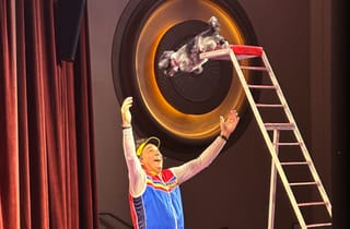 Bark Theater