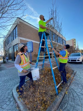 McMinnville adds sparkle to season