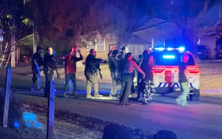 Swatting suspect seized