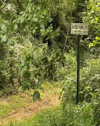 McMinnville aims for $100K federal grant