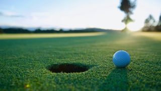 Whitson, Heady lead WCMS sweep