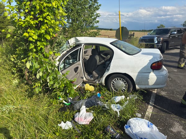 Driver plows into pole