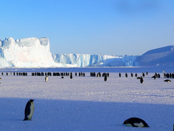 Signs of Life: One Planet Freezing Over, One Heart Warming Up