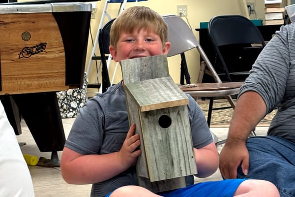 This project's 'for the birds'