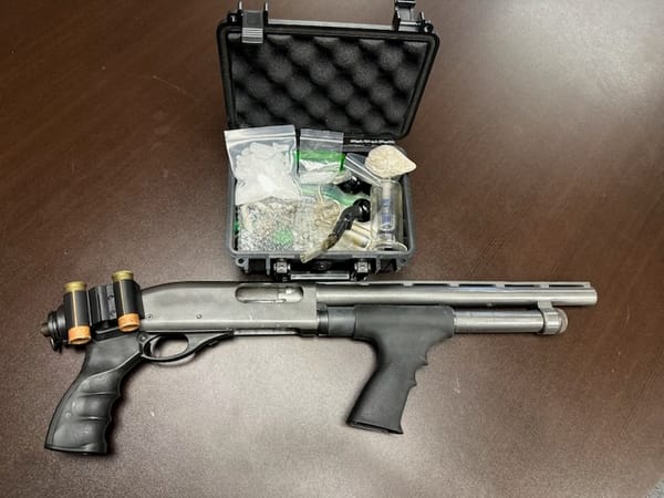 Deputies bust McCormick on drug, weapons charges