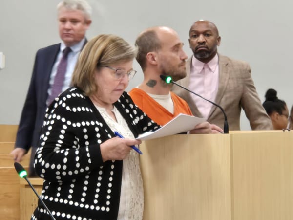 Would-be jumper sentenced