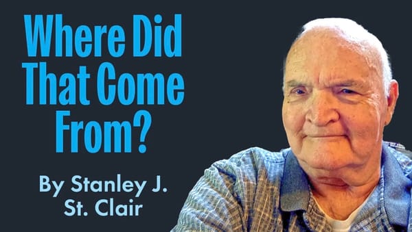 One dog year is seven human years