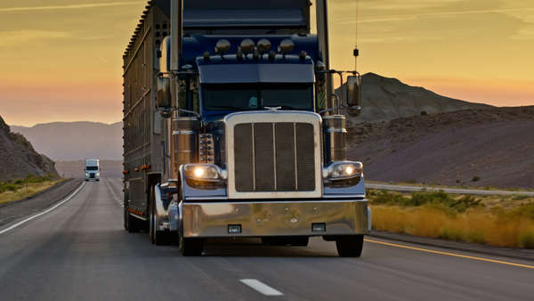 Tennessee Bill would make it a crime for Iillegal immigrants to drive commercial trucks