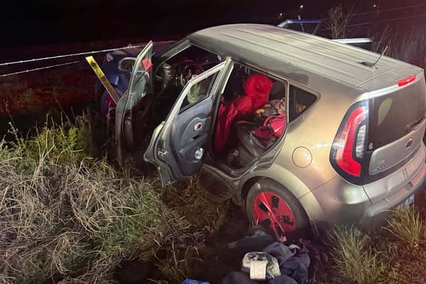 Pursuit ends in crash, foot chase